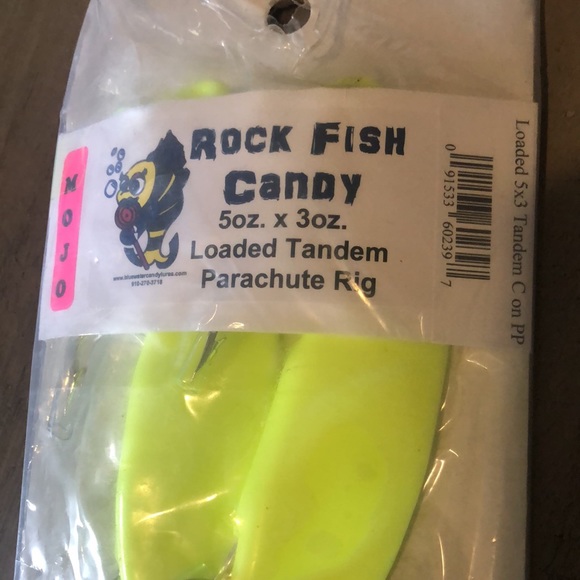 Loaded Tandem Parachute Rig - Picture 2 of 5